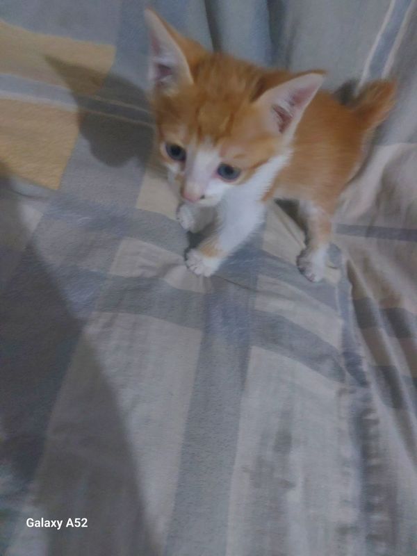 Xadiyaga beriladi Xadiyaga beriladi