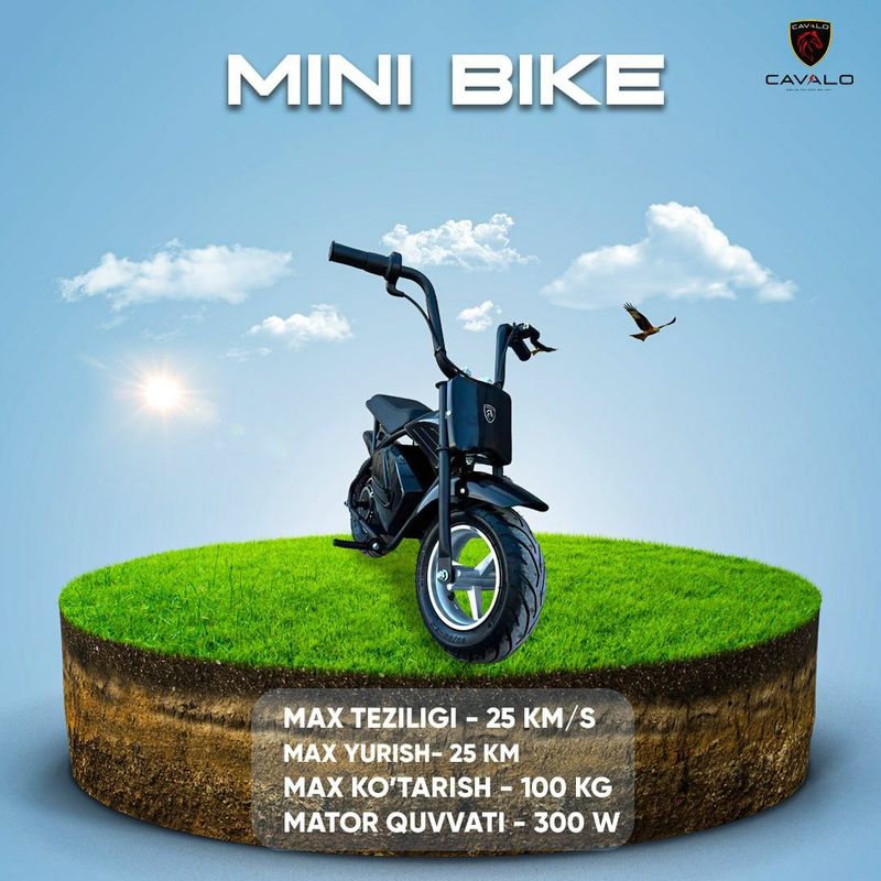 Mini Bike Cavalo