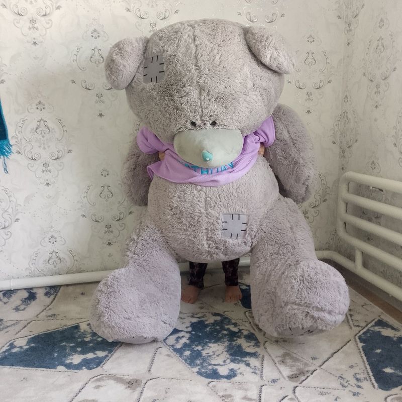 Teddi Ayiq sotiladi Teddi Ayiq sotiladi