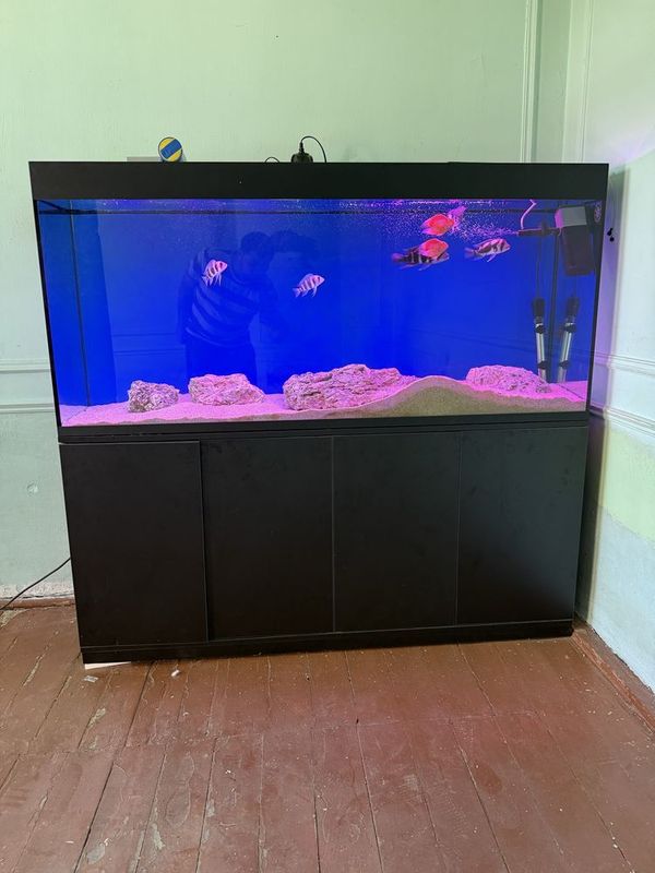 Akvarium 450 litr sotiladi Akvarium 450 litr sotiladi