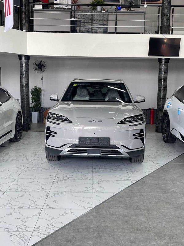 BYD chempion SROCHNA!!!