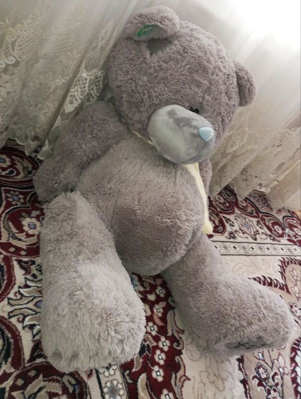 Teddy bear