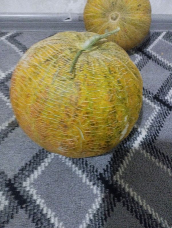 Handalak