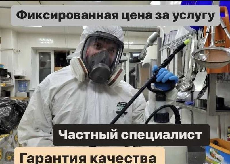 Dezinfeksiya klop tarakan Дезинфекция клопов тараканов СКИДКИ до 40% Д Dezinfeksiya klop tarakan Дезинфекция клопов тараканов СКИДКИ до 40% Д