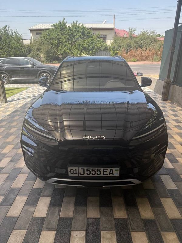BYD Champion 2024/2025 Restyling BYD Champion 2024/2025 Restyling