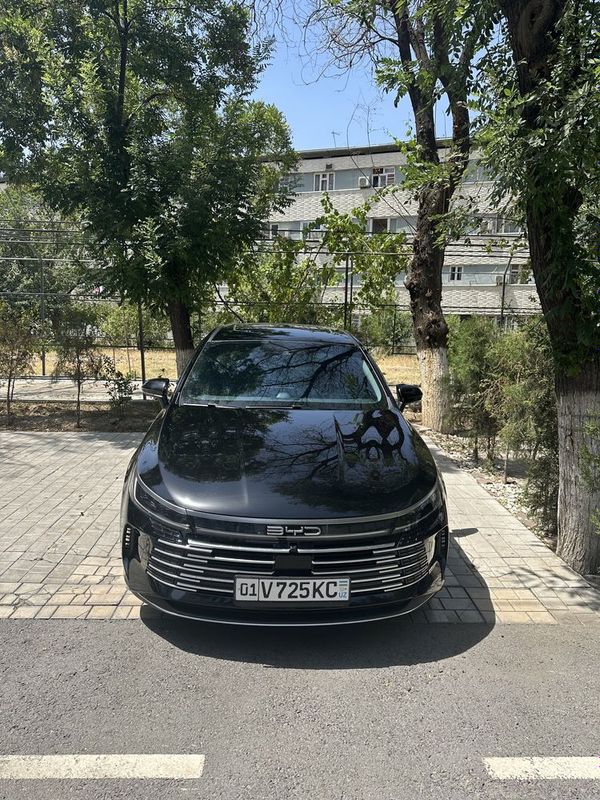BYD Chazor full 2024 BYD Chazor full 2024