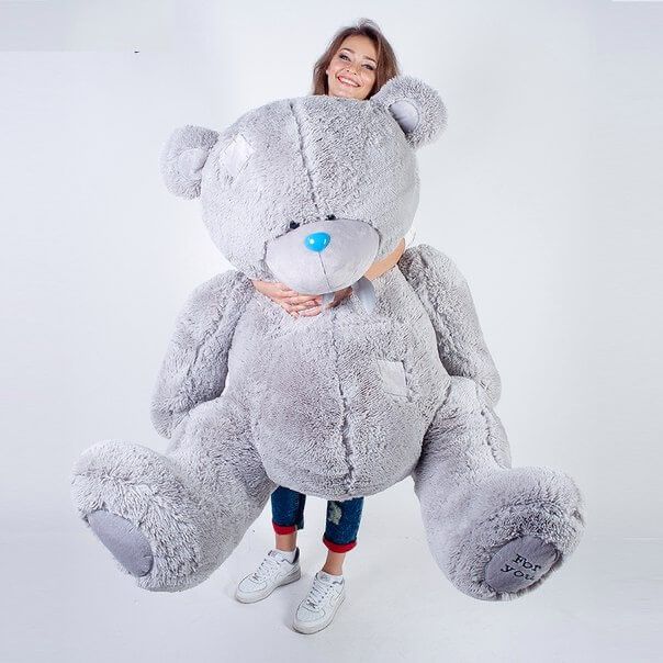 Teddy Bear, Теддий Мишка Teddy Bear, Теддий Мишка