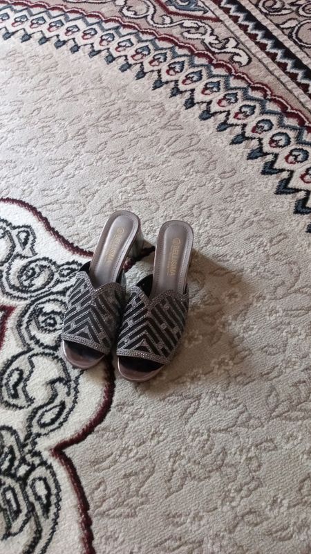 shlepanslar shlepanslar