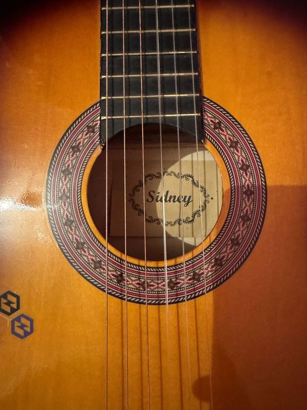 Gitara Sidney 40