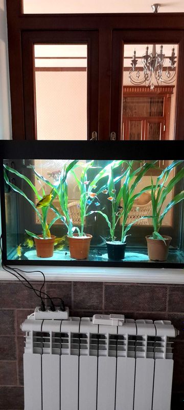 100 litr akvarium zavodskoy