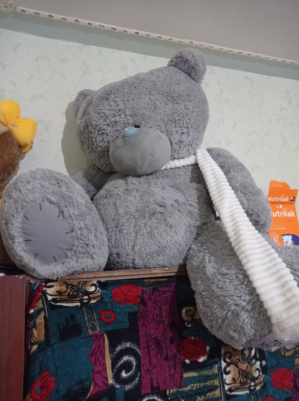 Teddiy miwka sotiladi. Xolati yaxwi. Teddiy miwka sotiladi. Xolati yaxwi.