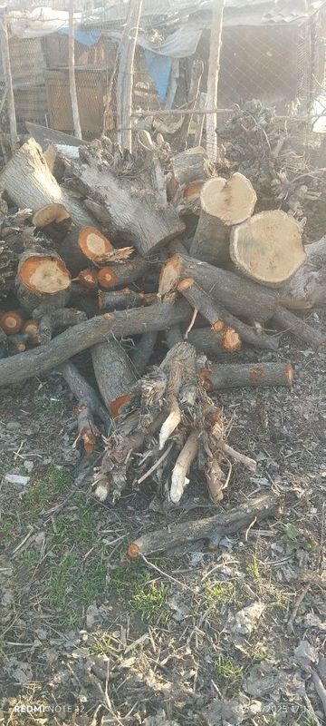 Otin sotiladi srochna