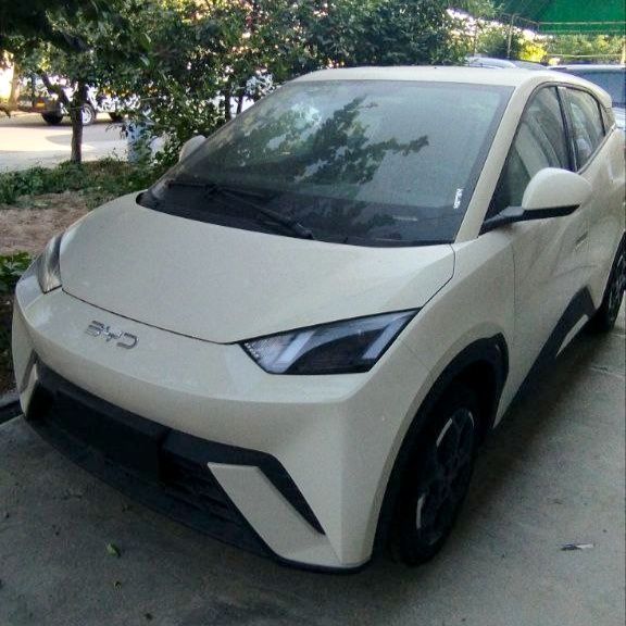Натариус BYD seagull 25 версия Натариус BYD seagull 25 версия