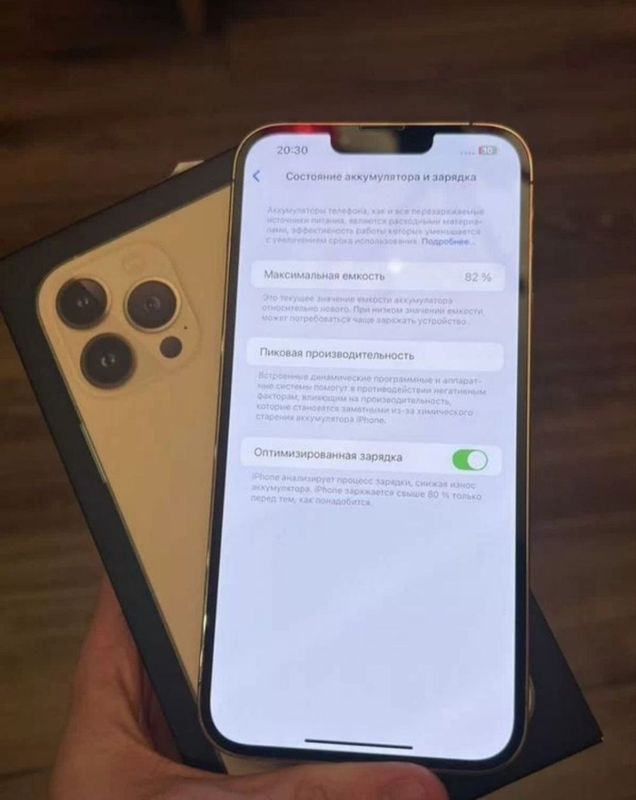 iPhone 13 pro max