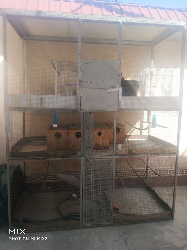Qushlarga qafas 3 etajlik Qushlarga qafas 3 etajlik