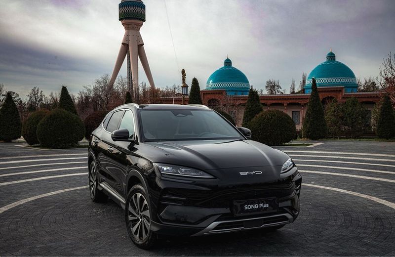 BYD chempion Gibrit