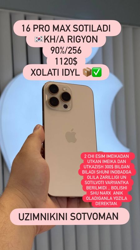 16 pro Maxs 256