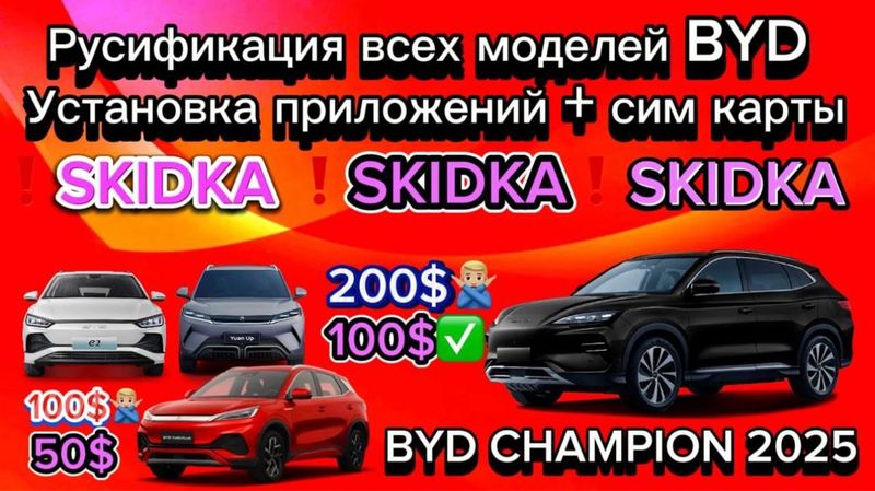 Русификатсия любой автомобили BYD (500.000)