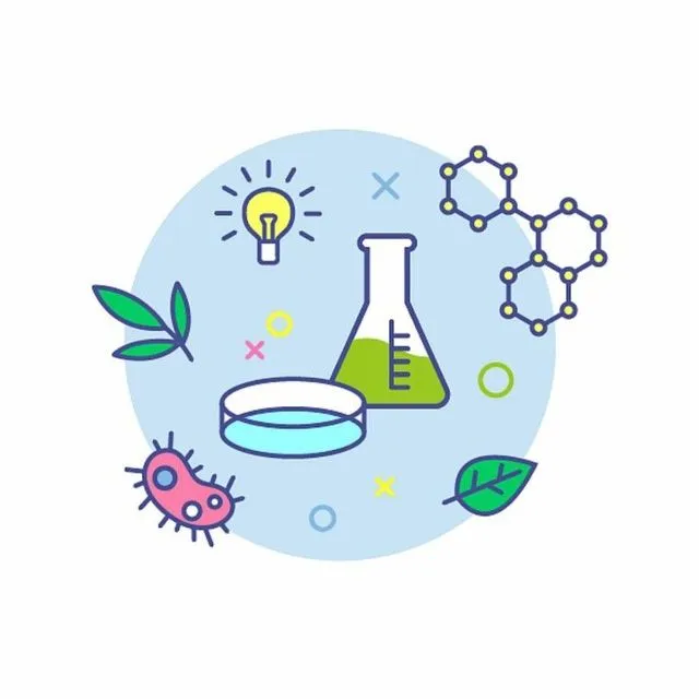 Kimyo va Biologiya repetitor | Sertifikatga tayyorlov | Attestatsiya Kimyo va Biologiya repetitor | Sertifikatga tayyorlov | Attestatsiya