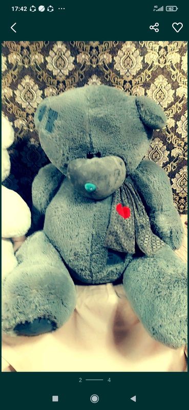 Teddy ayiqchalari