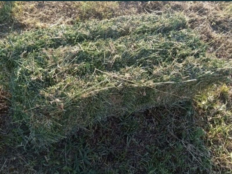 Беда пресс сотилади оптом Самарканд Беда пресс сотилади оптом Самарканд