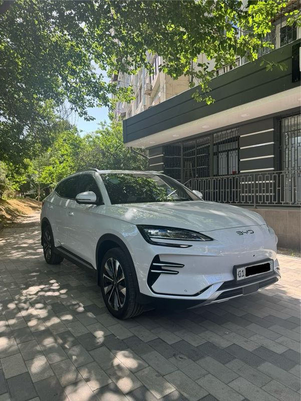 BYD chempion Reystaling 2024 BYD chempion Reystaling 2024