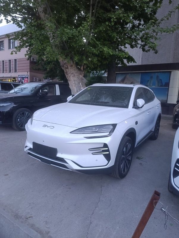 Byd Champion Smart 2025 Byd Champion Smart 2025