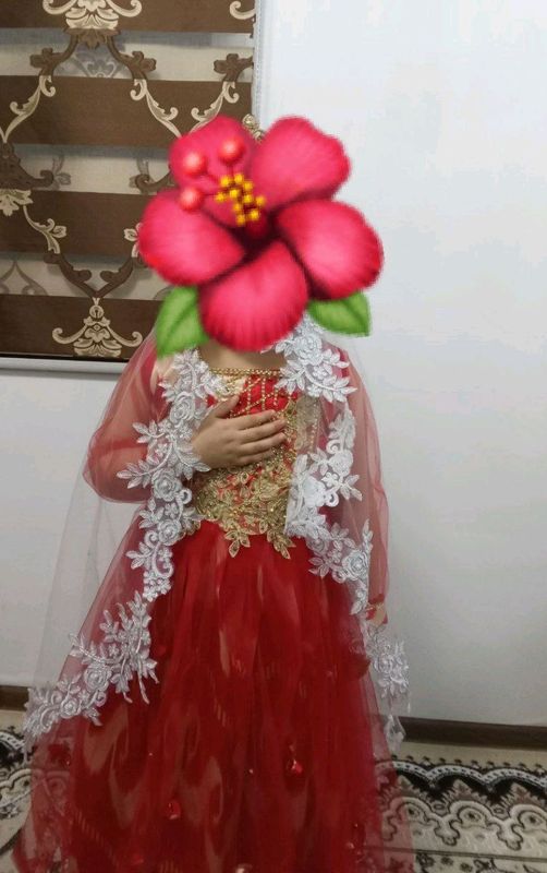 koylak koylak