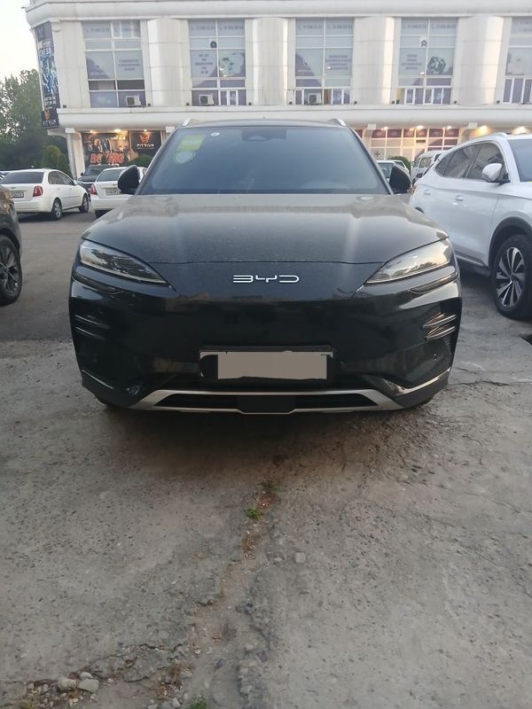Byd song plus champion 2024 Byd song plus champion 2024