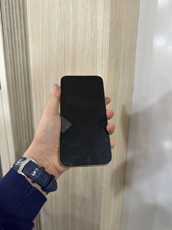 Iphone 13 pro max 128 gb