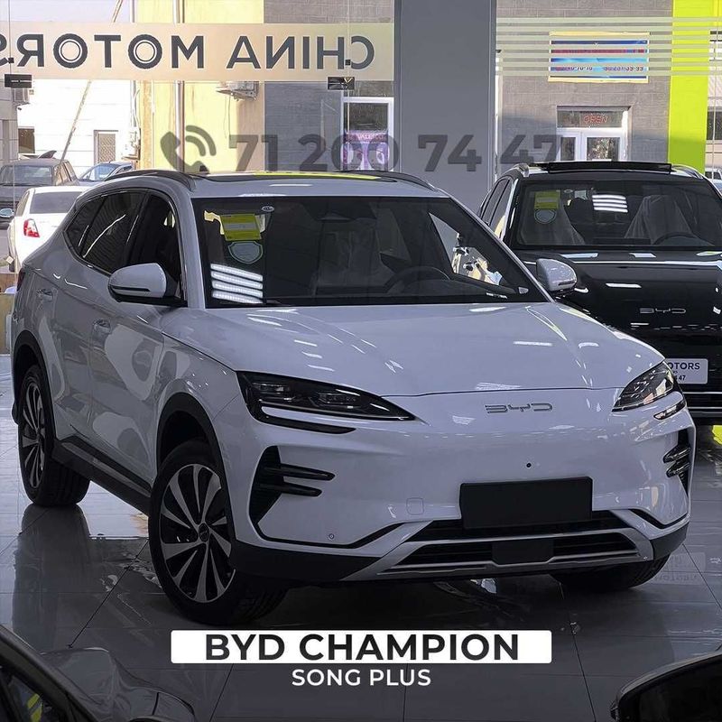 Byd champion 605 km 2 dona qoldi