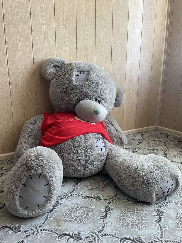 Teddy ayiq мишка Teddy ayiq мишка