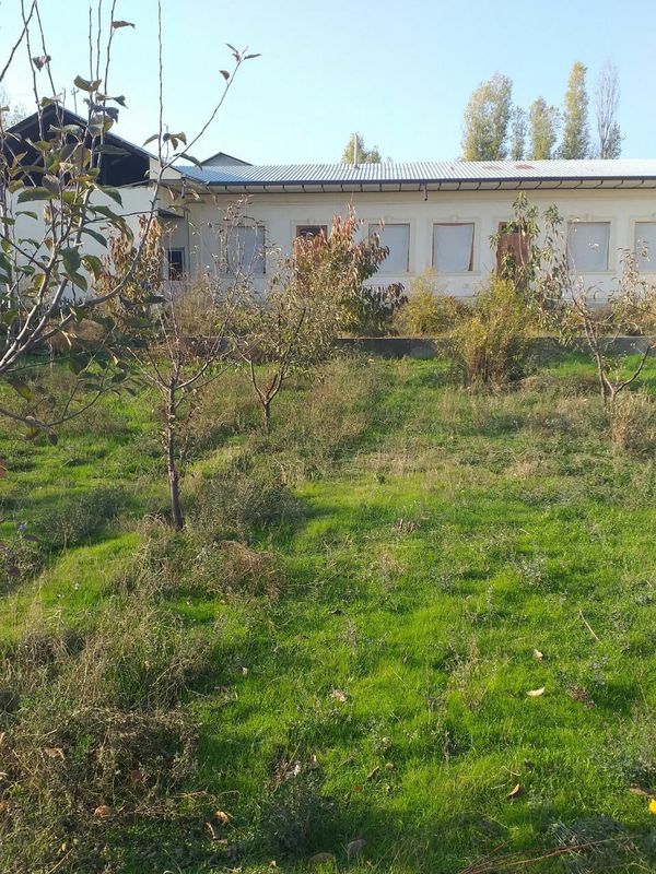 8 хона уй 18сотик 8 хона уй 18сотик