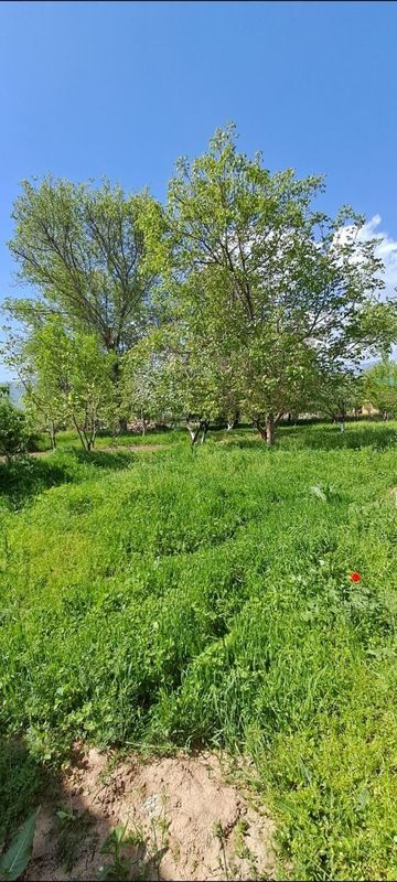 Участка продается. Uy sotiladi hovli 12 sotka Участка продается. Uy sotiladi hovli 12 sotka