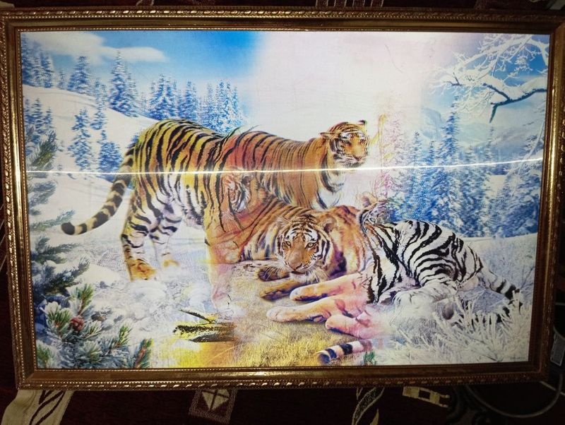 Картина с тиграми 3д