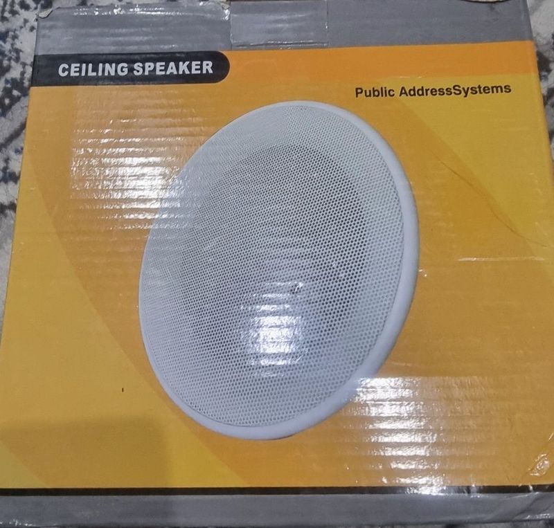 Potolochniy kolonka speaker