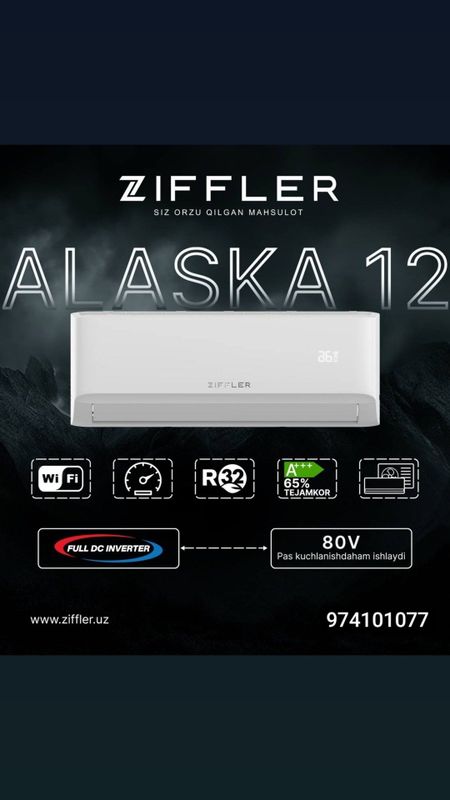 Бесплатная Доставка Ziffler 12 Inverter Гарантия Оригинал