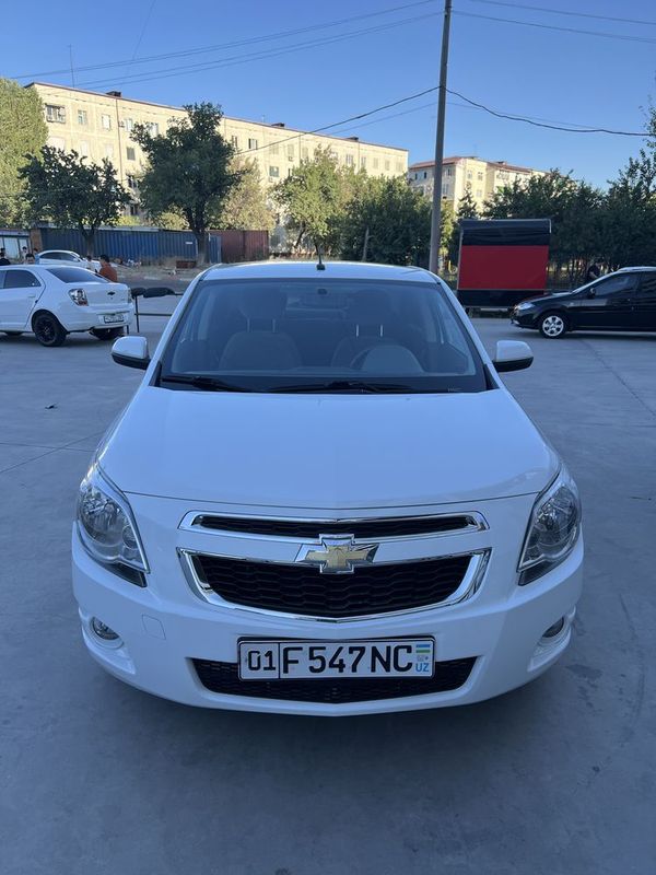 Arenda Cobolt ideal