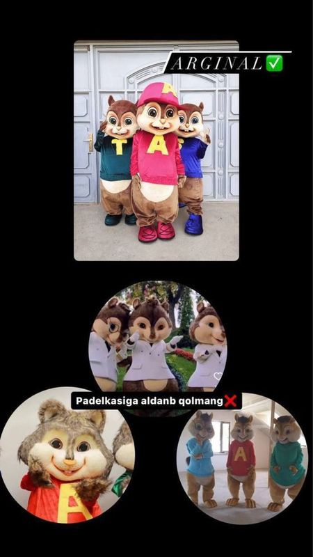 Ayiqlar sotiladi Ayiqlar sotiladi