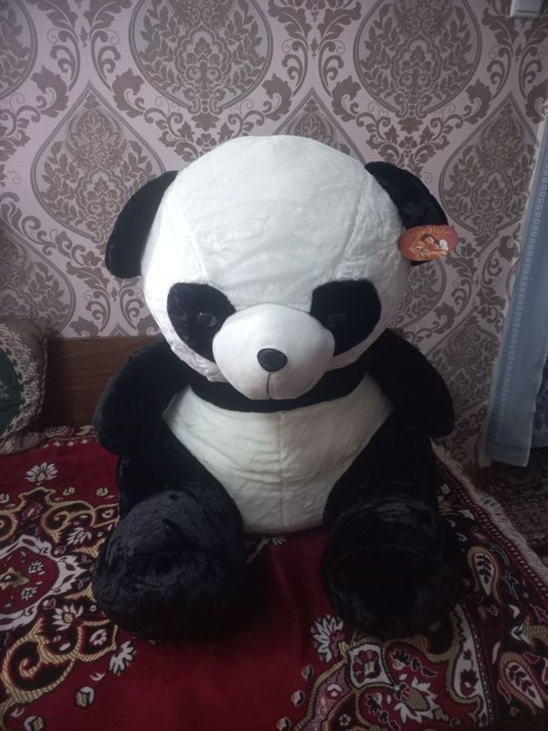 Panda kotta sotiladi yengi