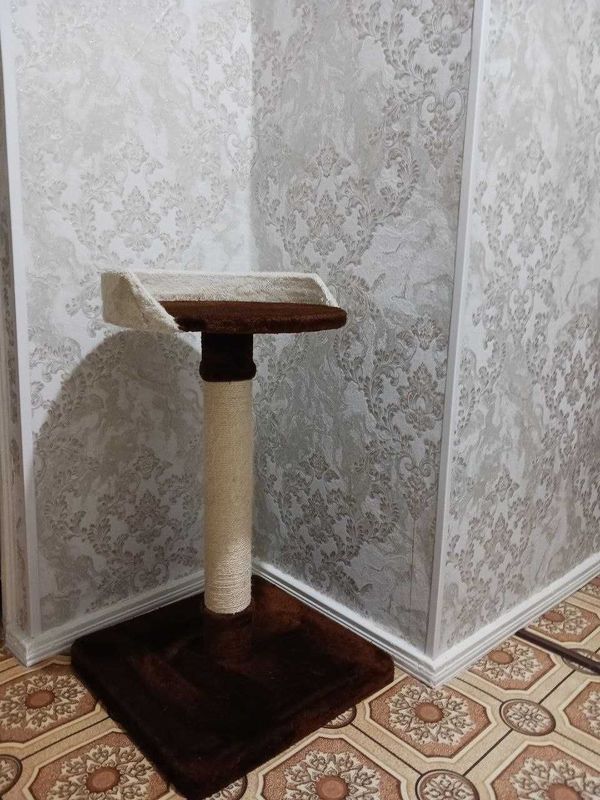 Когтеточка домик башня для кошек Когтеточка домик башня для кошек