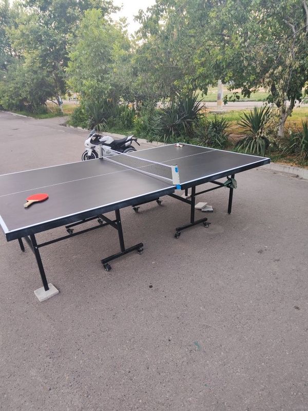 Настольный теннис Настольный теннис