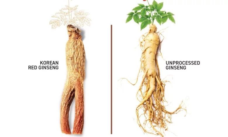 Ginseng(Корень корейского красного женьшеня)