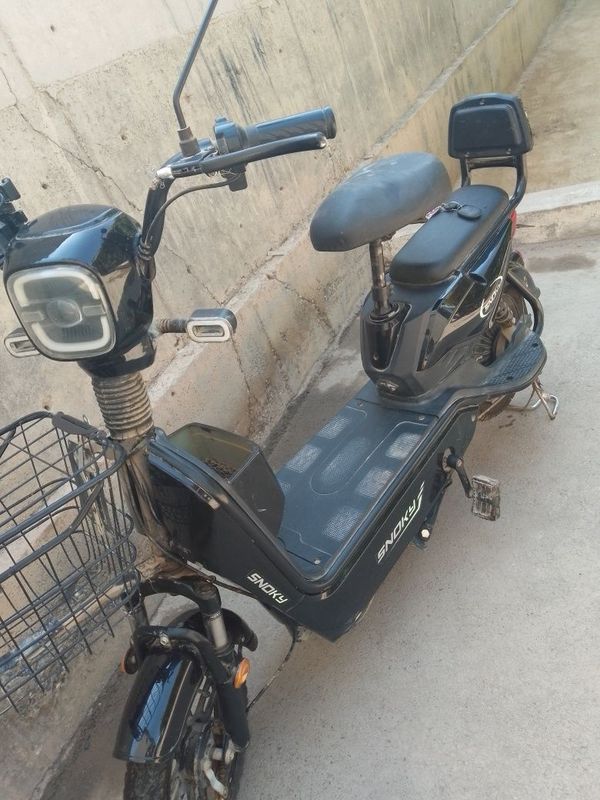 Skuter demansh 2024