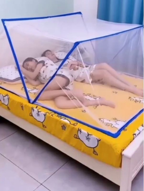 Pashshaxona aksiya Pashshaxona aksiya