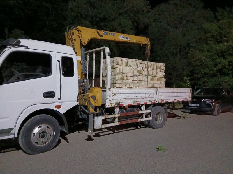 Пишиг гишт кирпич доставкаси билан