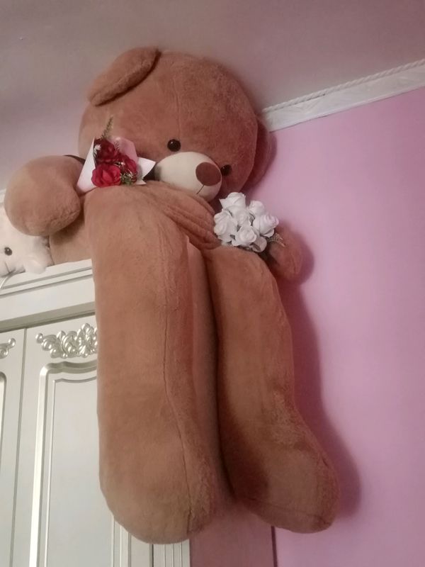 TeddyAyiq boyi 2metr 700min iyunda olingan yangi TeddyAyiq boyi 2metr 700min iyunda olingan yangi