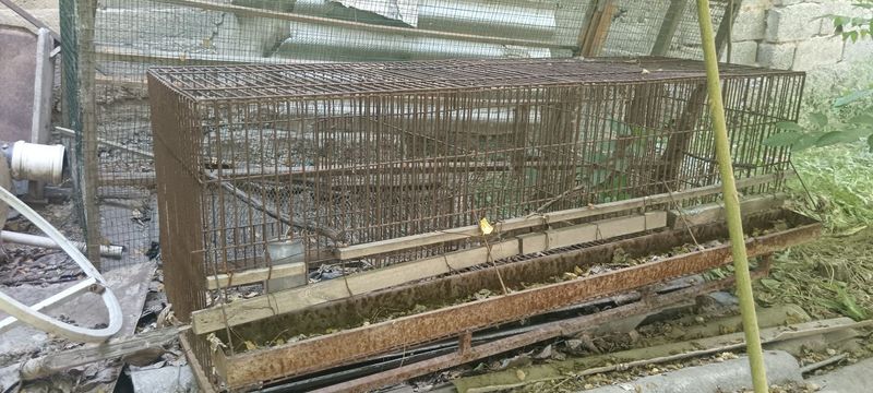 Товук кафас 3 га болингпн