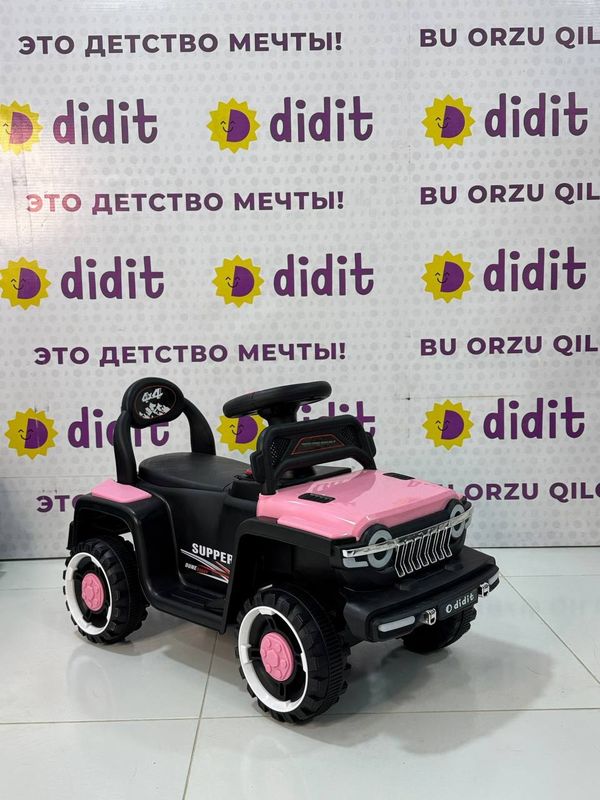 DM-2231 DM-2231