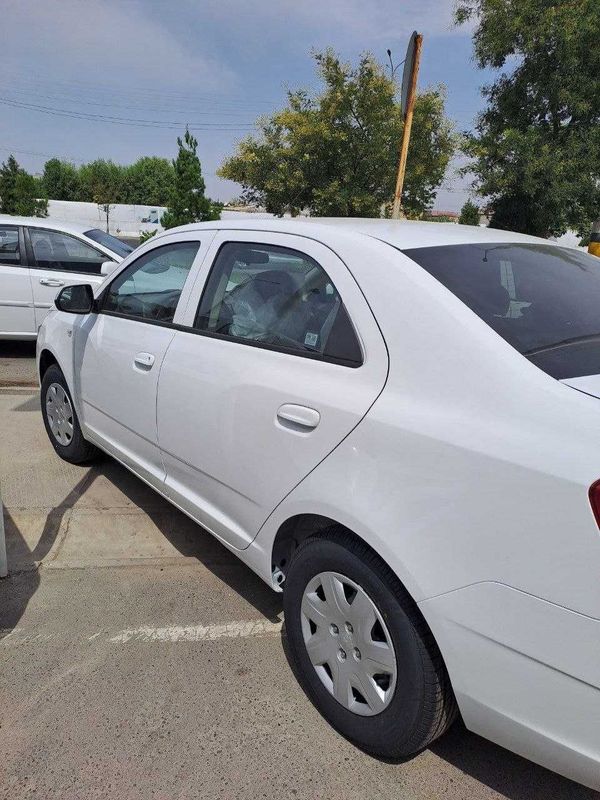 Cobalt Optima Nataryus Tekin Cobalt Optima Nataryus Tekin